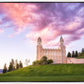 Manti Cotton Candy
