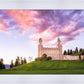 Manti Cotton Candy