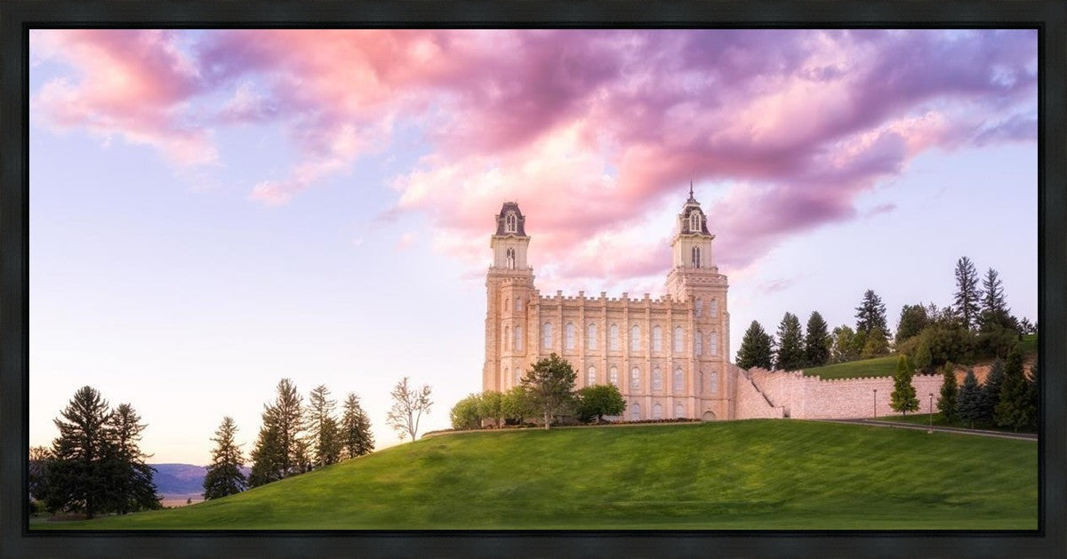 Manti Cotton Candy