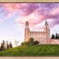 Manti Cotton Candy