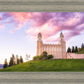 Manti Cotton Candy