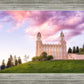 Manti Cotton Candy