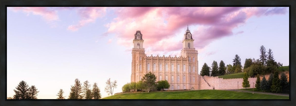 Manti Cotton Candy