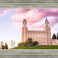 Manti Cotton Candy