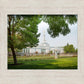 Medford Daydream