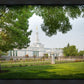 Medford Daydream