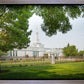 Medford Daydream