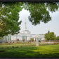 Medford Daydream
