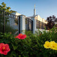 Memphis Flowers