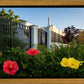 Memphis Flowers