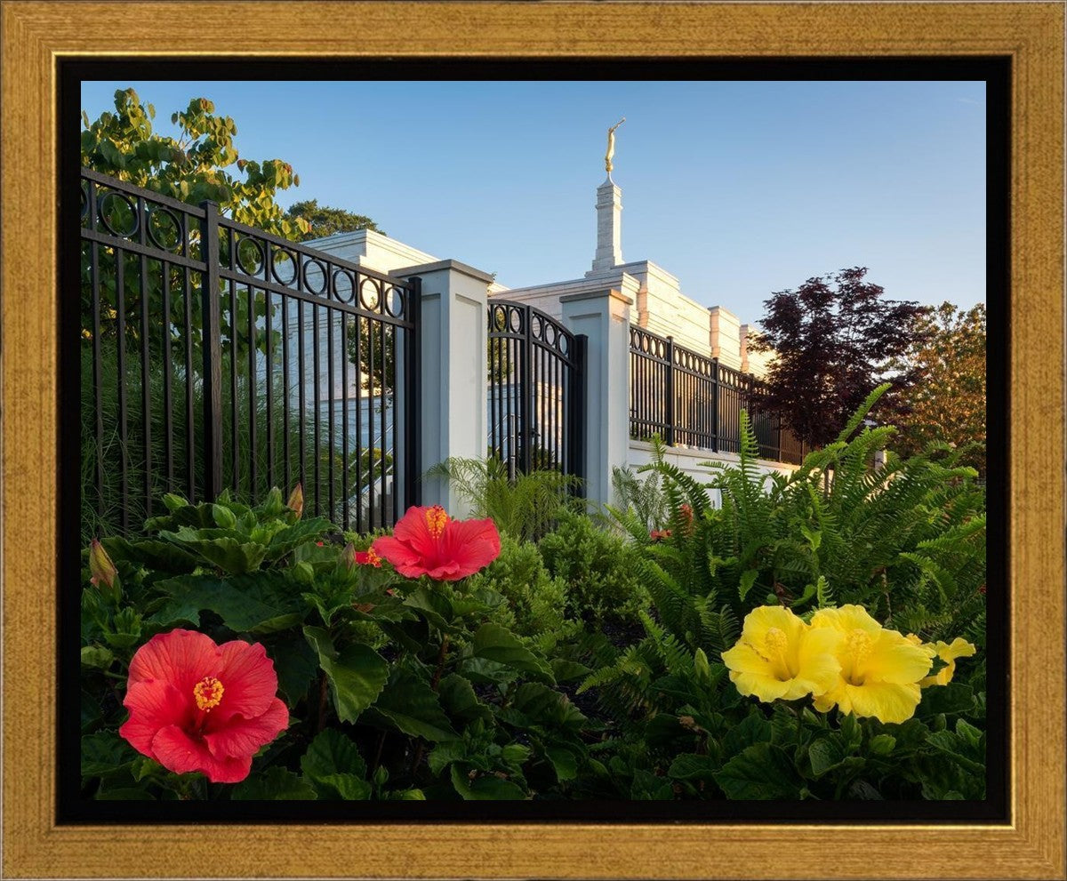 Memphis Flowers