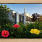 Memphis Flowers