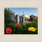 Memphis Flowers