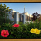 Memphis Flowers