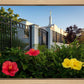 Memphis Flowers