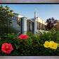 Memphis Flowers