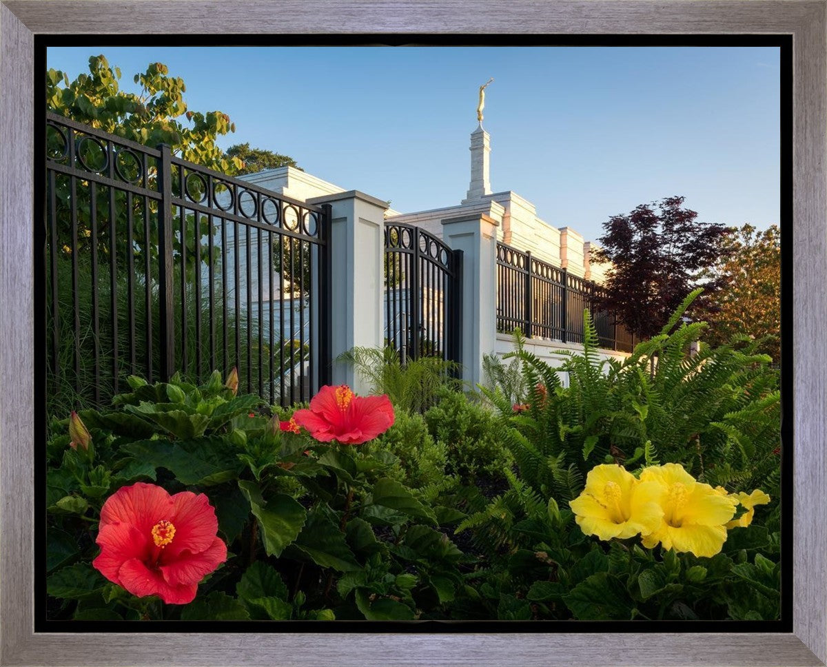 Memphis Flowers