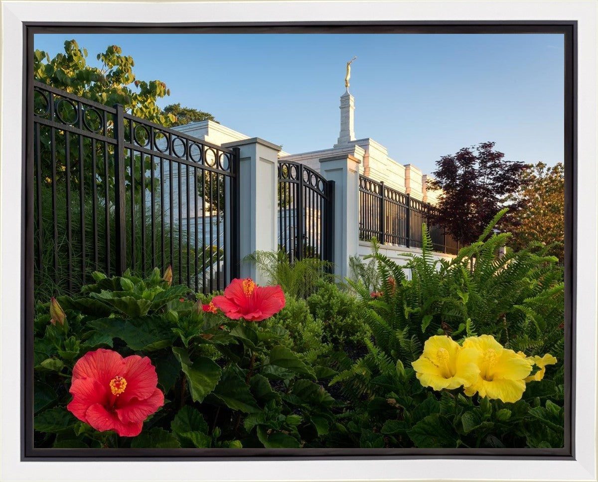 Memphis Flowers