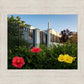 Memphis Flowers