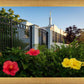 Memphis Flowers