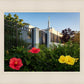 Memphis Flowers