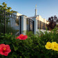 Memphis Flowers