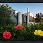 Memphis Flowers