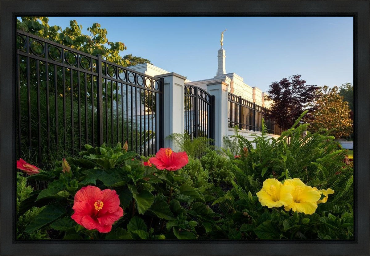 Memphis Flowers