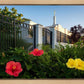 Memphis Flowers