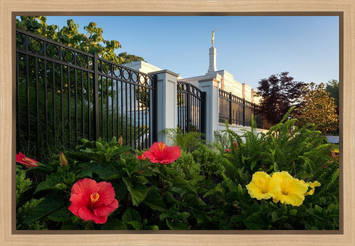Memphis Flowers
