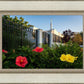 Memphis Flowers