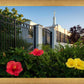 Memphis Flowers