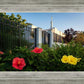Memphis Flowers