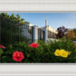 Memphis Flowers