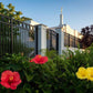 Memphis Flowers