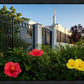 Memphis Flowers