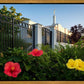Memphis Flowers