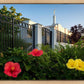 Memphis Flowers