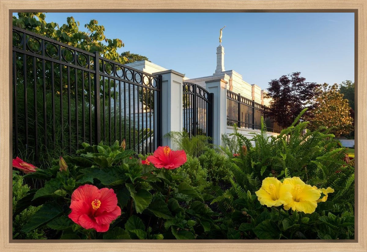 Memphis Flowers