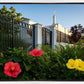 Memphis Flowers