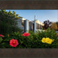 Memphis Flowers