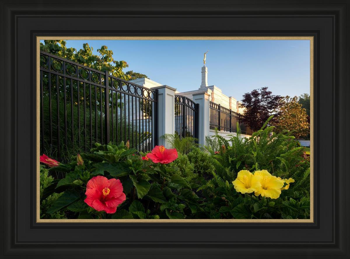 Memphis Flowers