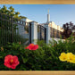 Memphis Flowers