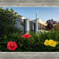 Memphis Flowers