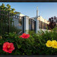Memphis Flowers