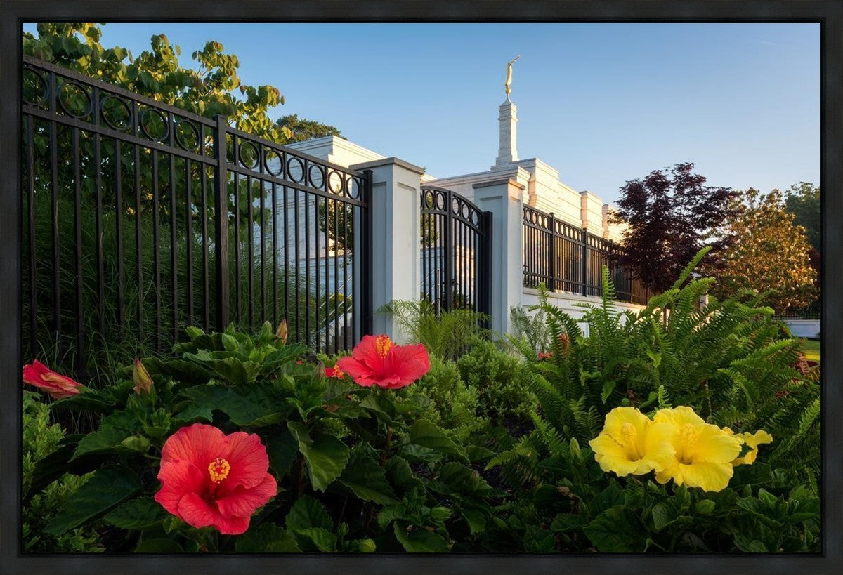 Memphis Flowers
