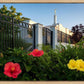 Memphis Flowers
