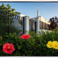Memphis Flowers