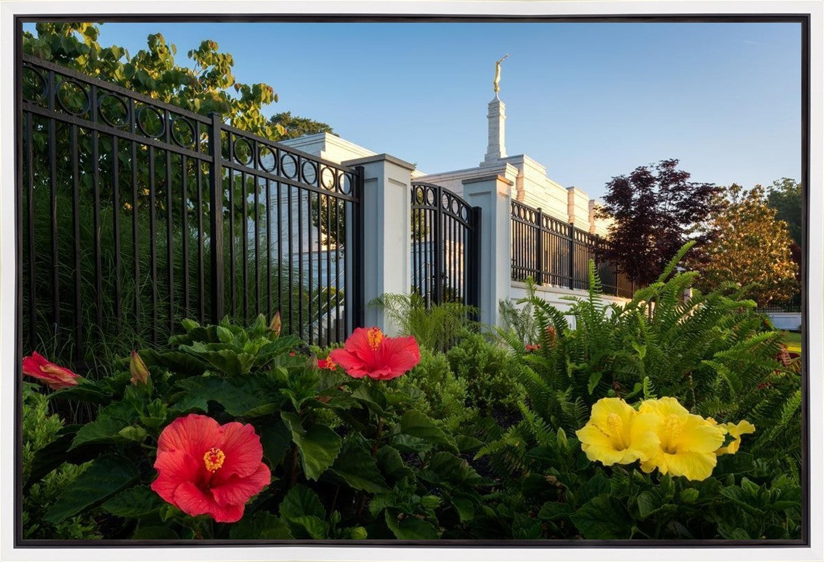 Memphis Flowers