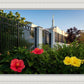 Memphis Flowers